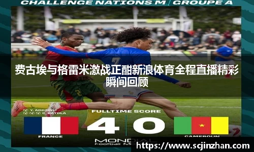 费古埃与格雷米激战正酣新浪体育全程直播精彩瞬间回顾